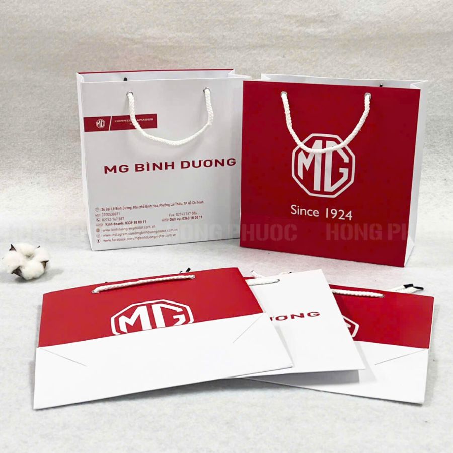 Túi giấy in logo theo yêu cầu